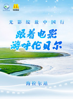 手机在线观看