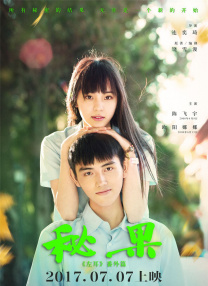 中文字幕未删减版在线观看