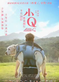 手机免费播放